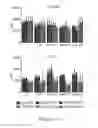 Fig. 45 - TOLEROGENIC DENDRITIC CELLS, METHODS OF PRODUCING THE SAME, AND USES THEREOF