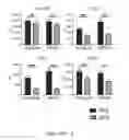 Fig. 48 - TOLEROGENIC DENDRITIC CELLS, METHODS OF PRODUCING THE SAME, AND USES THEREOF