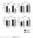 Fig. 49 - TOLEROGENIC DENDRITIC CELLS, METHODS OF PRODUCING THE SAME, AND USES THEREOF