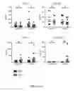 Fig. 53 - TOLEROGENIC DENDRITIC CELLS, METHODS OF PRODUCING THE SAME, AND USES THEREOF