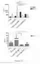 Fig. 59 - TOLEROGENIC DENDRITIC CELLS, METHODS OF PRODUCING THE SAME, AND USES THEREOF