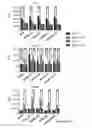 Fig. 69 - TOLEROGENIC DENDRITIC CELLS, METHODS OF PRODUCING THE SAME, AND USES THEREOF