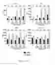 Fig. 74 - TOLEROGENIC DENDRITIC CELLS, METHODS OF PRODUCING THE SAME, AND USES THEREOF