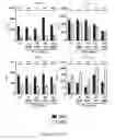 Fig. 75 - TOLEROGENIC DENDRITIC CELLS, METHODS OF PRODUCING THE SAME, AND USES THEREOF