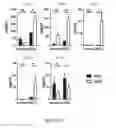 Fig. 76 - TOLEROGENIC DENDRITIC CELLS, METHODS OF PRODUCING THE SAME, AND USES THEREOF