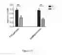 Fig. 94 - TOLEROGENIC DENDRITIC CELLS, METHODS OF PRODUCING THE SAME, AND USES THEREOF