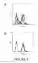 Fig. 04 - Agents and compositions for eliciting an immune response