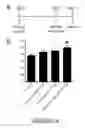 Fig. 05 - Agents and compositions for eliciting an immune response