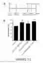 Fig. 12 - Agents and compositions for eliciting an immune response