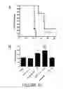 Fig. 22 - Agents and compositions for eliciting an immune response