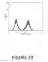 Fig. 30 - Agents and compositions for eliciting an immune response
