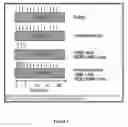 Fig. 02 - Compositions and Methods for Treatment of Her2 Positive Metastatic Breast Cancer