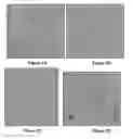 Fig. 09 - Compositions and Methods for Treatment of Her2 Positive Metastatic Breast Cancer