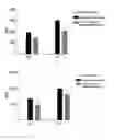 Fig. 05 - Composition for treating or preventing liver diseases, containing sicyos angulatus extract as active ingredient