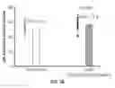 Fig. 07 - METHODS AND COMPOSITIONS FOR REGULATING SRCA2A EXPRESSION LEVELS IN MYOCARDIAL INFARCTION