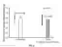 Fig. 08 - METHODS AND COMPOSITIONS FOR REGULATING SRCA2A EXPRESSION LEVELS IN MYOCARDIAL INFARCTION