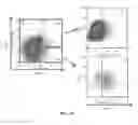 Fig. 07 - Compositions and methods related to xCT peptides