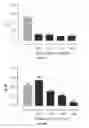Fig. 35 - Compositions and methods related to xCT peptides