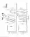 Fig. 07 - IMMUNOGENIC COMPOSITIONS
