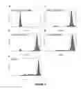 Fig. 05 - Immunogenic construct comprising an EBV-cell antigen and a targeting moiety and applications thereof
