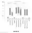 Fig. 09 - Immunogenic construct comprising an EBV-cell antigen and a targeting moiety and applications thereof