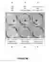 Fig. 12 - Immunogenic construct comprising an EBV-cell antigen and a targeting moiety and applications thereof