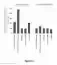 Fig. 19 - Immunogenic construct comprising an EBV-cell antigen and a targeting moiety and applications thereof