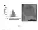 Fig. 05 - LIPID VESICLE COMPOSITIONS AND METHODS OF USE