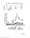 Fig. 16 - LIPID VESICLE COMPOSITIONS AND METHODS OF USE