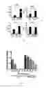 Fig. 20 - LIPID VESICLE COMPOSITIONS AND METHODS OF USE