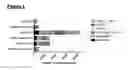 Fig. 02 - Method of reducing reactogenicity induced by administration of vaccine or immunogenic composition