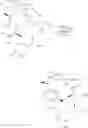 Fig. 49 - Muramyl peptide derivative compound, synthesis and uses thereof