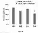 Fig. 40 - Compositions and methods for increasing efficiency of cardiac metabolism