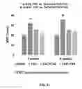 Fig. 46 - Compositions and methods for increasing efficiency of cardiac metabolism
