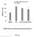 Fig. 48 - Compositions and methods for increasing efficiency of cardiac metabolism