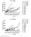 Fig. 20 - Complex coacervate for controlled release and related methods