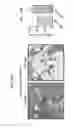 Fig. 32 - Polyacetal polymers, conjugates, particles and uses thereof