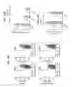 Fig. 45 - Polyacetal polymers, conjugates, particles and uses thereof