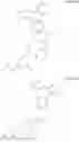 Fig. 63 - Polyacetal polymers, conjugates, particles and uses thereof