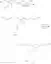 Fig. 80 - Polyacetal polymers, conjugates, particles and uses thereof