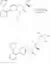 Fig. 87 - Polyacetal polymers, conjugates, particles and uses thereof