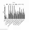 Fig. 20 - NOVEL IMMUNOGLOBULIN VARIANTS