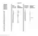 Fig. 96 - NOVEL IMMUNOGLOBULIN VARIANTS