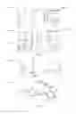 Fig. 02 - Chemoselective rapid azo-coupling reaction for bioconjugation