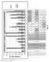 Fig. 09 - Compositions and methods for expression of multiple biologically active polypeptides from a single vector for treatment of cardiac conditions and other pathologies