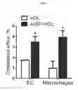 Fig. 04 - Compositions and methods for treating or ameliorating neuroinflammation, neurodegeneration, neuropathic pain, and migraine