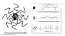 Fig. 01 - Method of using methylene blue nanoparticle for detecting cancer by bioimaging