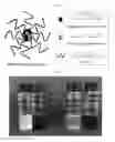 Fig. 02 - Method of using methylene blue nanoparticle for detecting cancer by bioimaging