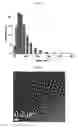 Fig. 04 - Method of using methylene blue nanoparticle for detecting cancer by bioimaging