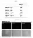 Fig. 05 - Method of using methylene blue nanoparticle for detecting cancer by bioimaging